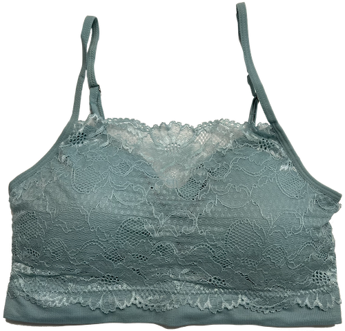 fitted Lace Coverage Padded Bra