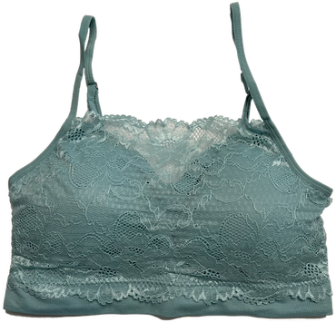 fitted Lace Coverage Padded Bra